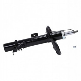 317626-PCS-MS