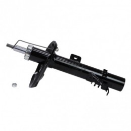317627-PCS-MS