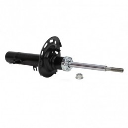 315876-PCS-MS