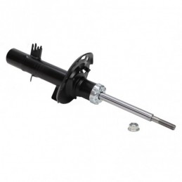 315877-PCS-MS