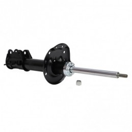 315373-PCS-MS