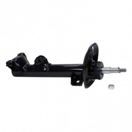 317556-PCS-MS