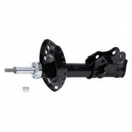 313592-PCS-MS
