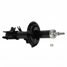 312821-PCS-MS