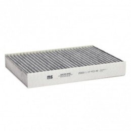25003/1-IF-PCS-MS