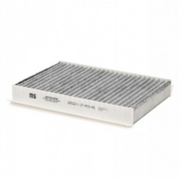 22022/1-IF-PCS-MS