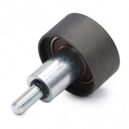R21338-PCS-MS