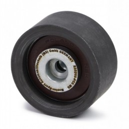R25260-PCS-MS