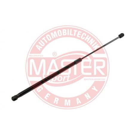 OSTATNE ,6308022-PCS-MS ,MASTER-SPORT