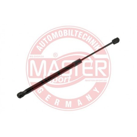 OSTATNE ,6308023-PCS-MS ,MASTER-SPORT