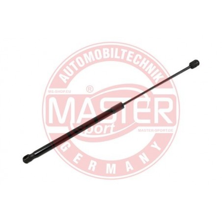 OSTATNE ,6308024-PCS-MS ,MASTER-SPORT